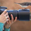 Kuş Fotoğrafı Çekmenin 5 Keyifli Yöntemi