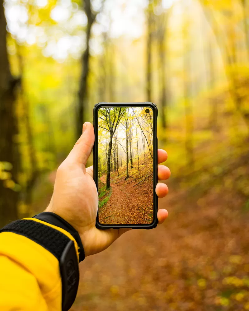 Samsung fotoğrafçılık eğitimi