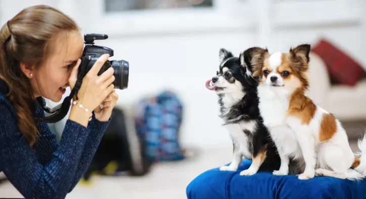 Köpek Fotoğrafı Nasıl Çekilir?