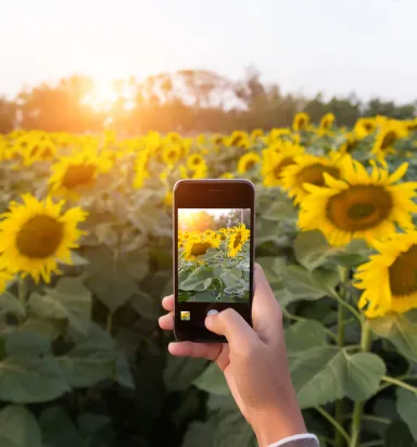 Telefonla Profesyonel Çekim Yapmanın 12 Altın Kuralı