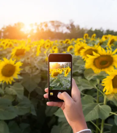 Telefonla Profesyonel Çekim Yapmanın 12 Altın Kuralı