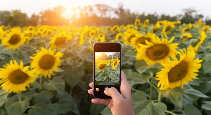 Telefonla Profesyonel Çekim Yapmanın 12 Altın Kuralı